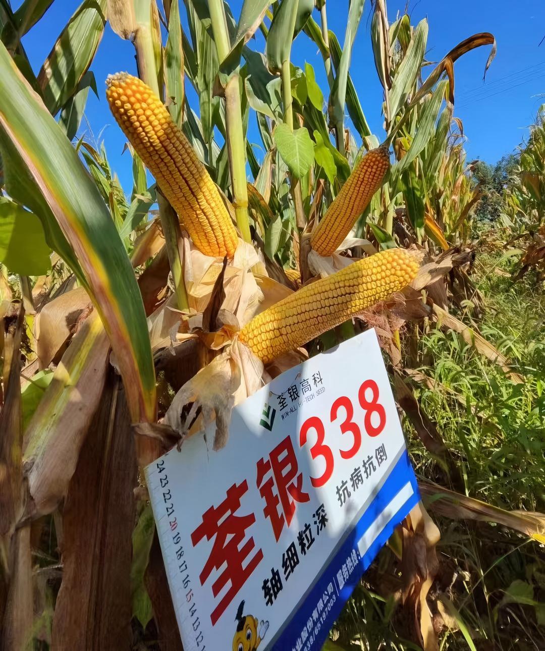 千赢国际官网338.jpg