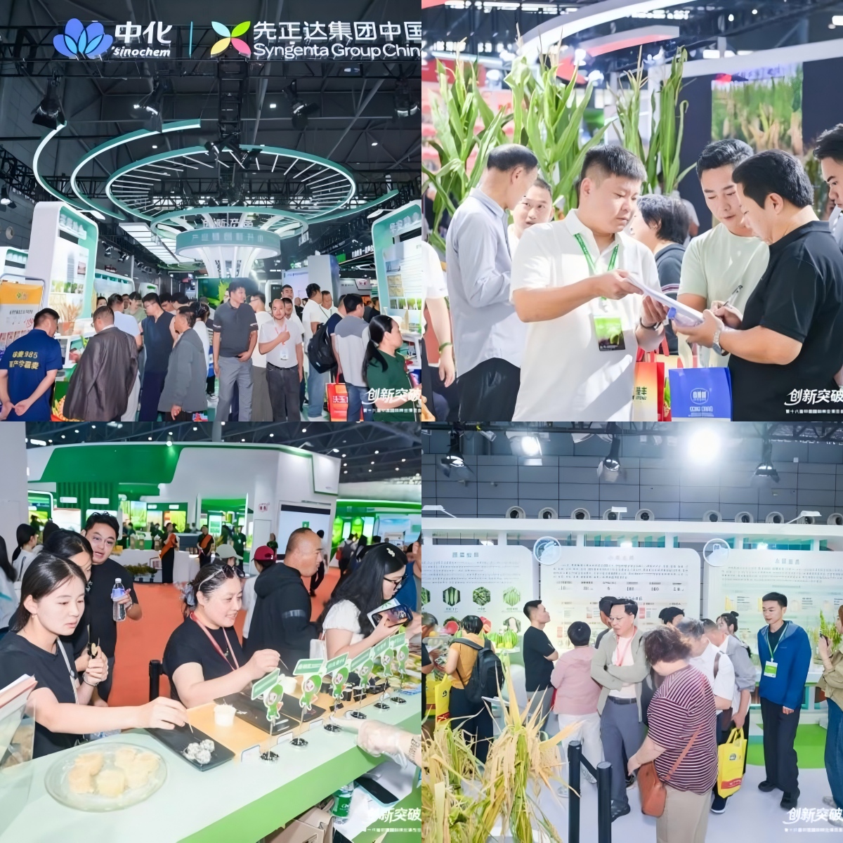 WPS拼图0.jpg WPS拼图0.jpg