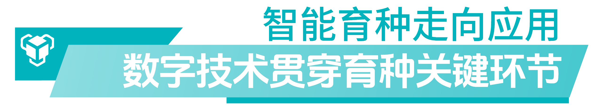 1.png 1.png