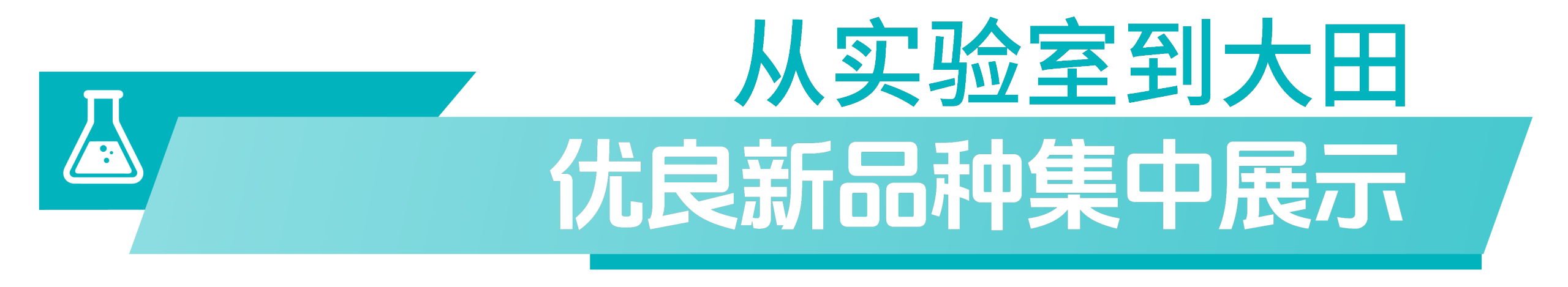 3.png 3.png